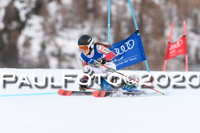 FIS + NJC Riesenslalom Damen + Herren 01.02.2020
