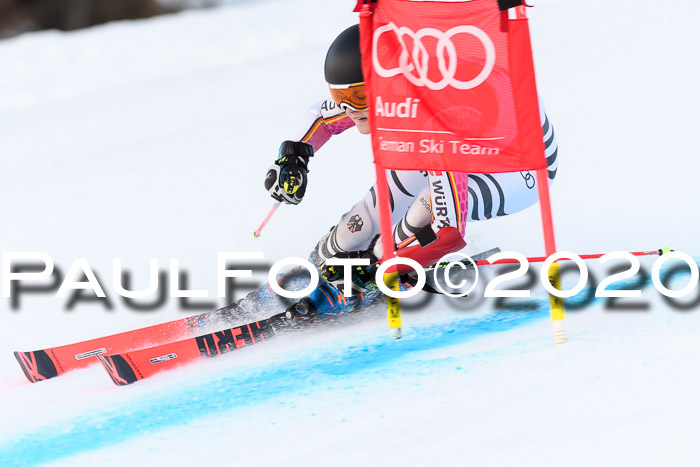 FIS + NJC Riesenslalom Damen + Herren 01.02.2020