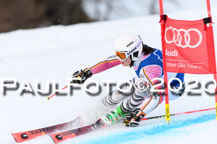 FIS + NJC Riesenslalom Damen + Herren 01.02.2020
