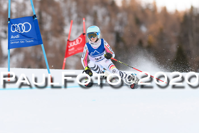 FIS + NJC Riesenslalom Damen + Herren 01.02.2020