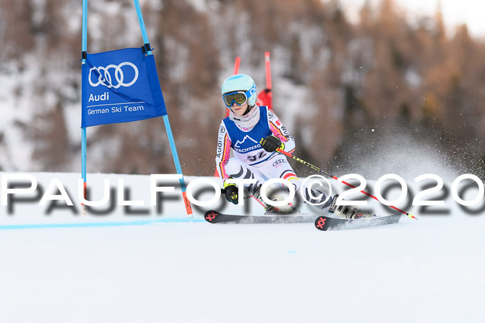 FIS + NJC Riesenslalom Damen + Herren 01.02.2020