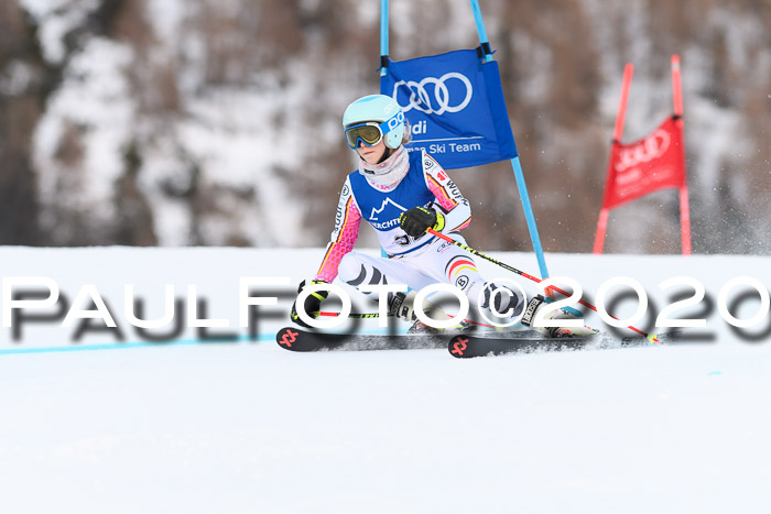 FIS + NJC Riesenslalom Damen + Herren 01.02.2020
