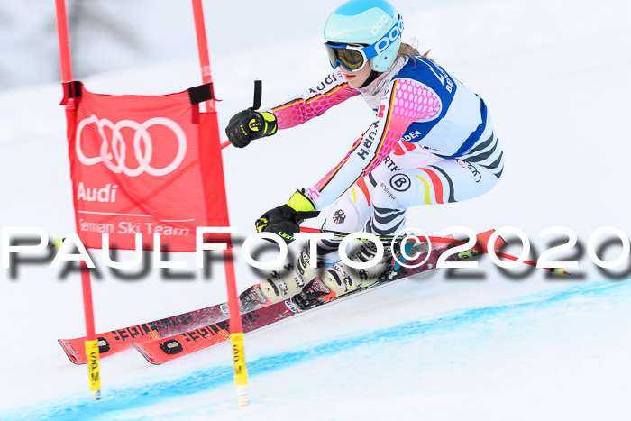 FIS + NJC Riesenslalom Damen + Herren 01.02.2020