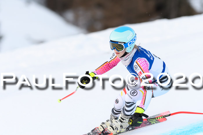 FIS + NJC Riesenslalom Damen + Herren 01.02.2020