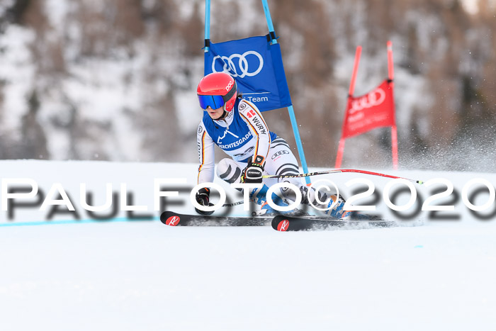 FIS + NJC Riesenslalom Damen + Herren 01.02.2020