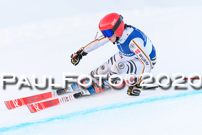 FIS + NJC Riesenslalom Damen + Herren 01.02.2020