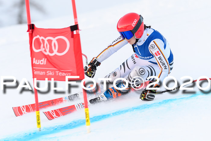 FIS + NJC Riesenslalom Damen + Herren 01.02.2020
