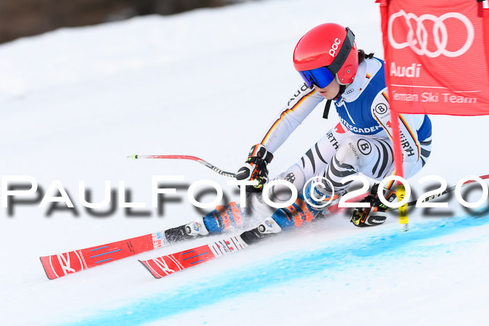 FIS + NJC Riesenslalom Damen + Herren 01.02.2020