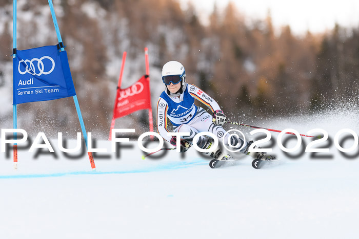 FIS + NJC Riesenslalom Damen + Herren 01.02.2020