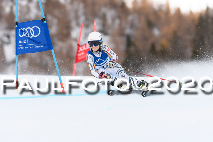 FIS + NJC Riesenslalom Damen + Herren 01.02.2020