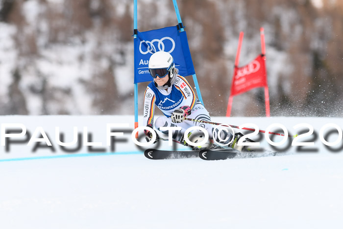 FIS + NJC Riesenslalom Damen + Herren 01.02.2020