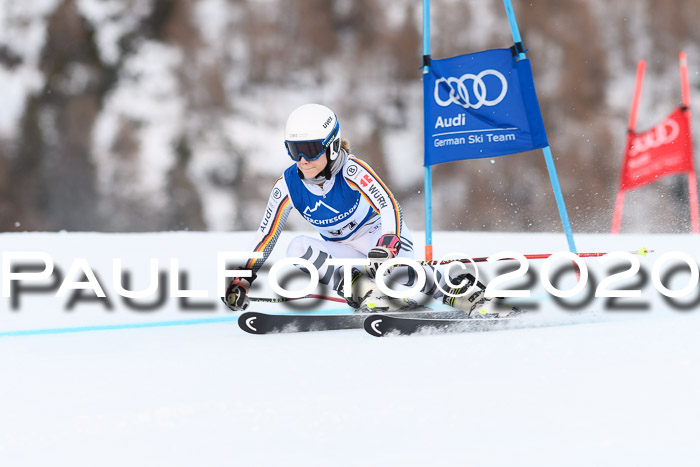 FIS + NJC Riesenslalom Damen + Herren 01.02.2020