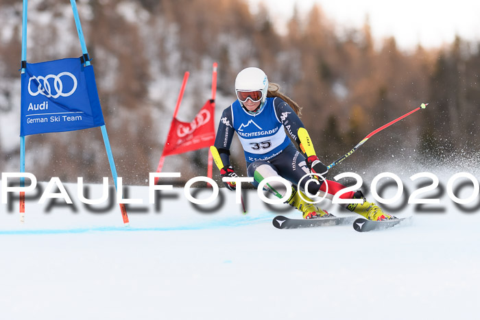 FIS + NJC Riesenslalom Damen + Herren 01.02.2020