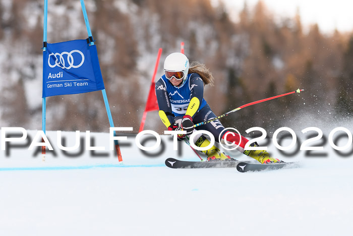 FIS + NJC Riesenslalom Damen + Herren 01.02.2020