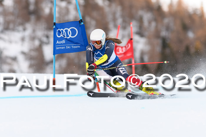 FIS + NJC Riesenslalom Damen + Herren 01.02.2020