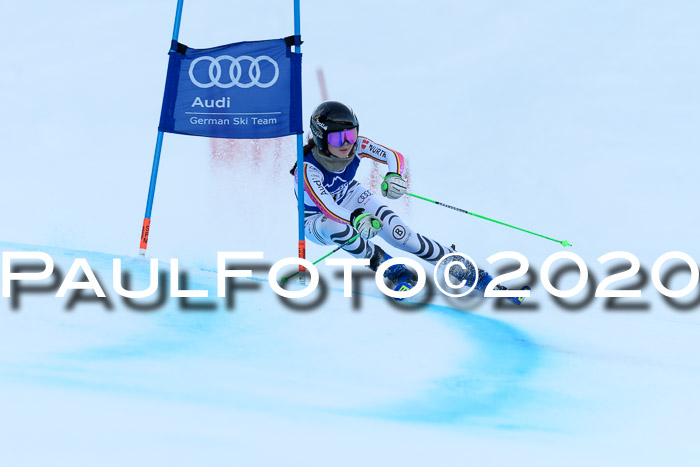 FIS + NJC Riesenslalom Damen + Herren 01.02.2020