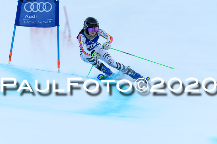 FIS + NJC Riesenslalom Damen + Herren 01.02.2020