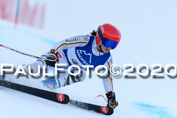 FIS + NJC Riesenslalom Damen + Herren 01.02.2020