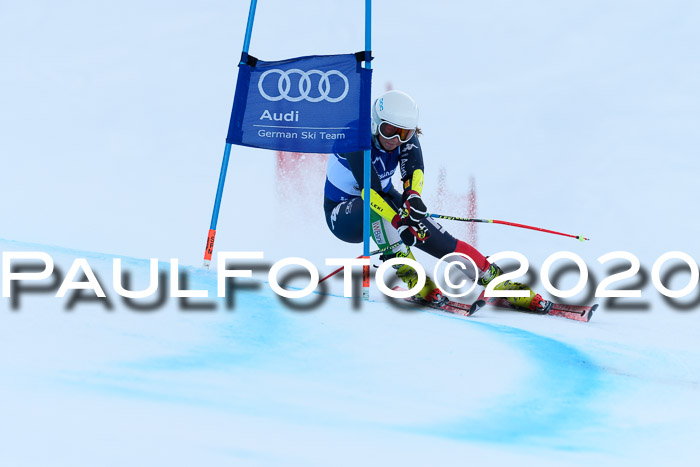 FIS + NJC Riesenslalom Damen + Herren 01.02.2020