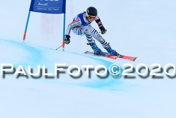 FIS + NJC Riesenslalom Damen + Herren 01.02.2020