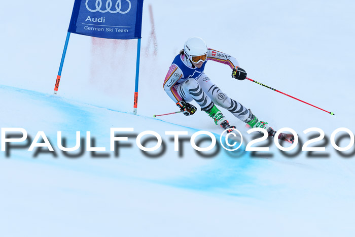 FIS + NJC Riesenslalom Damen + Herren 01.02.2020