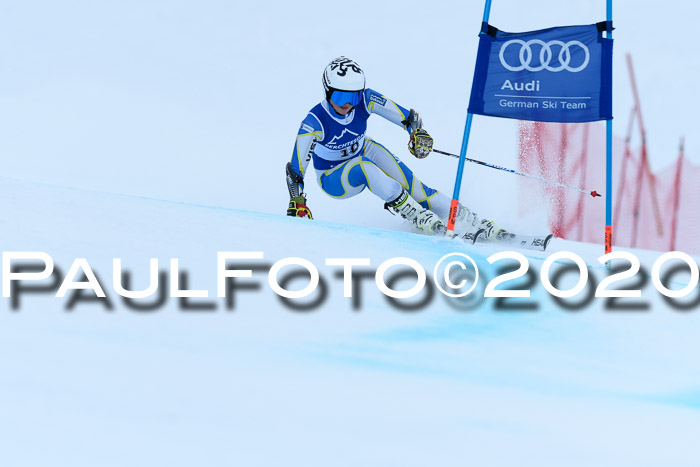 FIS + NJC Riesenslalom Damen + Herren 01.02.2020