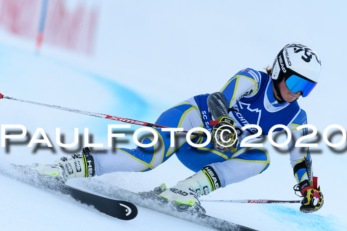 FIS + NJC Riesenslalom Damen + Herren 01.02.2020