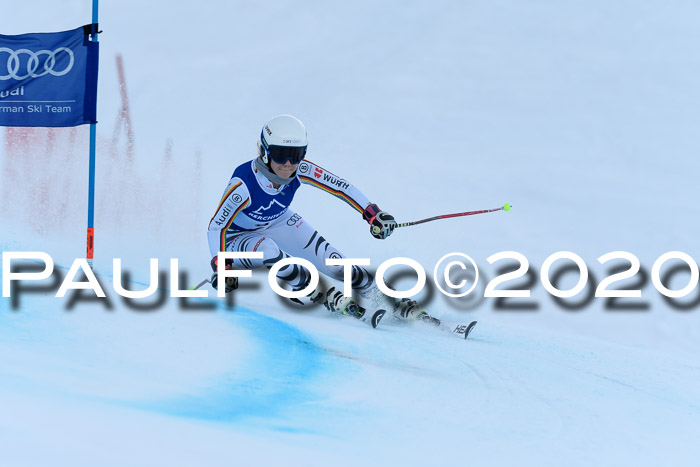 FIS + NJC Riesenslalom Damen + Herren 01.02.2020