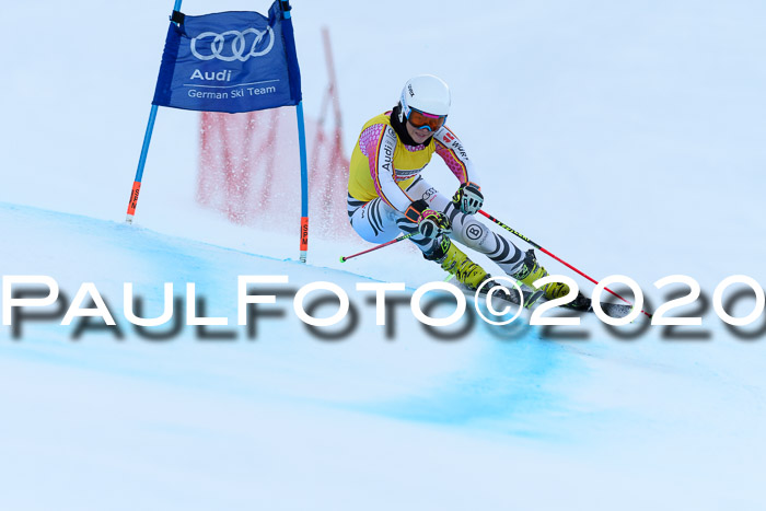 FIS + NJC Riesenslalom Damen + Herren 01.02.2020
