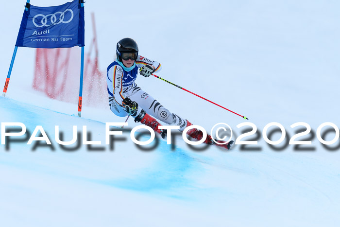FIS + NJC Riesenslalom Damen + Herren 01.02.2020