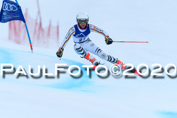 FIS + NJC Riesenslalom Damen + Herren 01.02.2020
