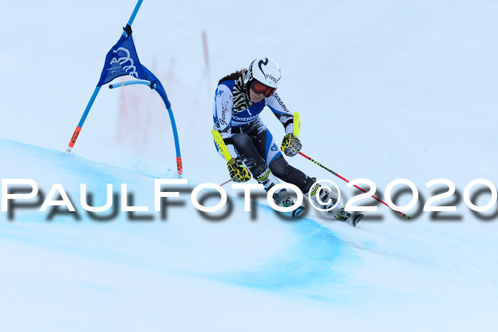 FIS + NJC Riesenslalom Damen + Herren 01.02.2020