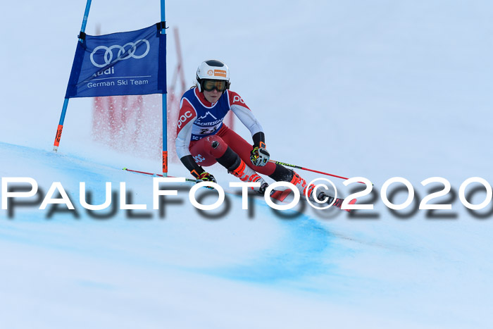 FIS + NJC Riesenslalom Damen + Herren 01.02.2020