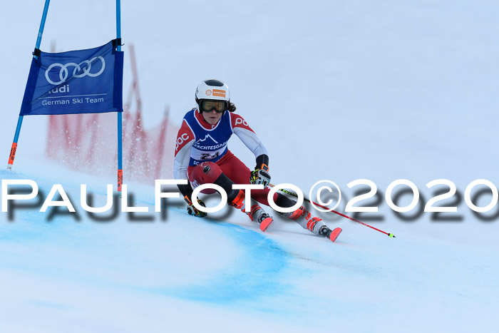 FIS + NJC Riesenslalom Damen + Herren 01.02.2020