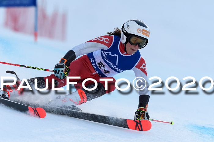 FIS + NJC Riesenslalom Damen + Herren 01.02.2020