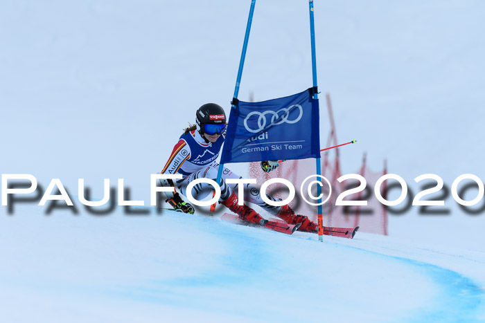 FIS + NJC Riesenslalom Damen + Herren 01.02.2020