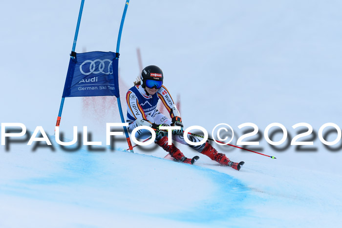 FIS + NJC Riesenslalom Damen + Herren 01.02.2020