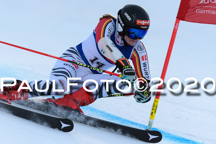 FIS + NJC Riesenslalom Damen + Herren 01.02.2020