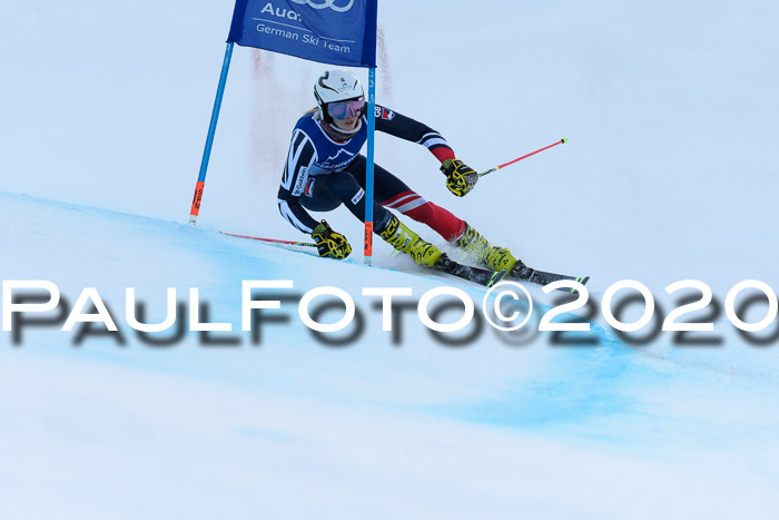 FIS + NJC Riesenslalom Damen + Herren 01.02.2020