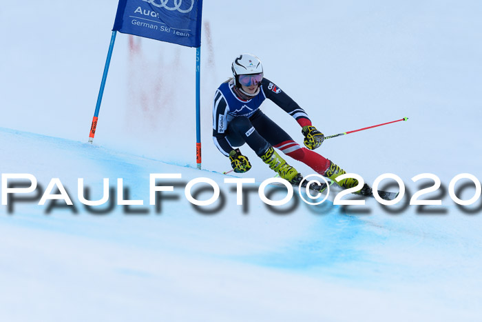FIS + NJC Riesenslalom Damen + Herren 01.02.2020