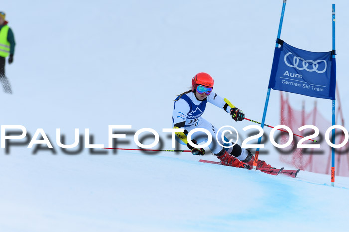 FIS + NJC Riesenslalom Damen + Herren 01.02.2020