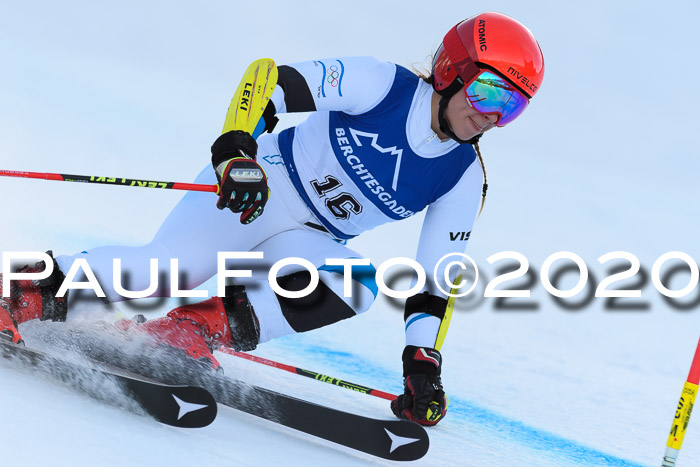 FIS + NJC Riesenslalom Damen + Herren 01.02.2020
