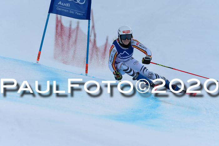 FIS + NJC Riesenslalom Damen + Herren 01.02.2020