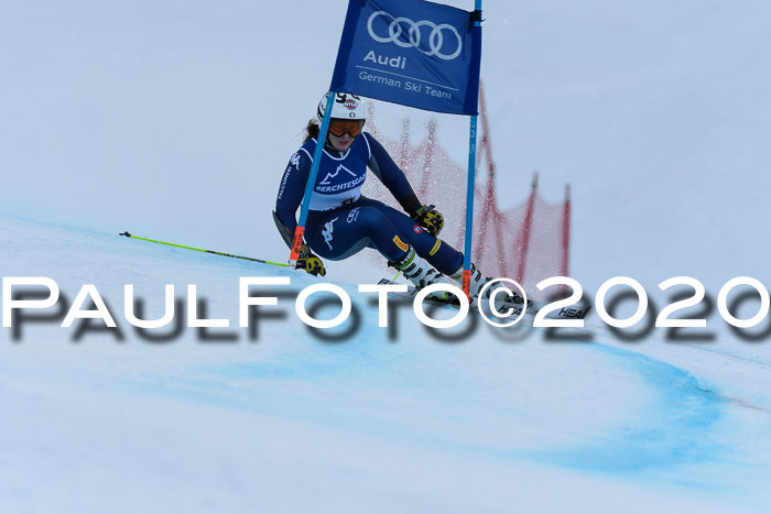FIS + NJC Riesenslalom Damen + Herren 01.02.2020