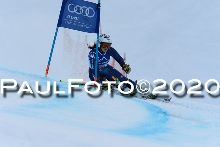 FIS + NJC Riesenslalom Damen + Herren 01.02.2020