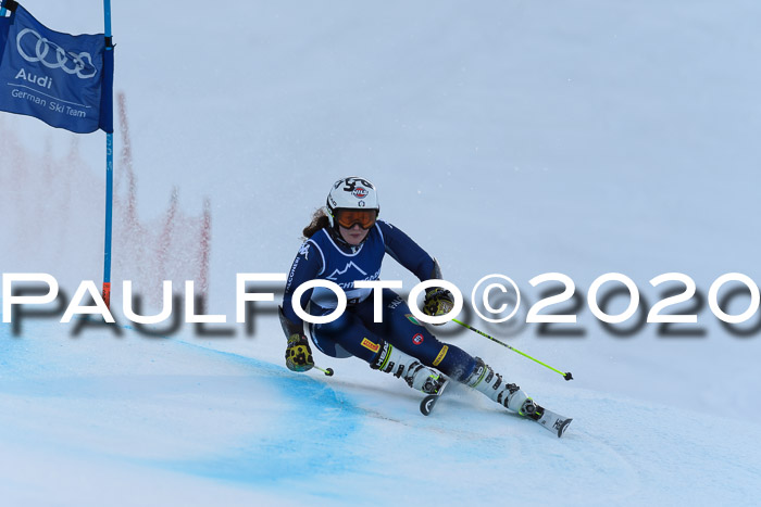 FIS + NJC Riesenslalom Damen + Herren 01.02.2020