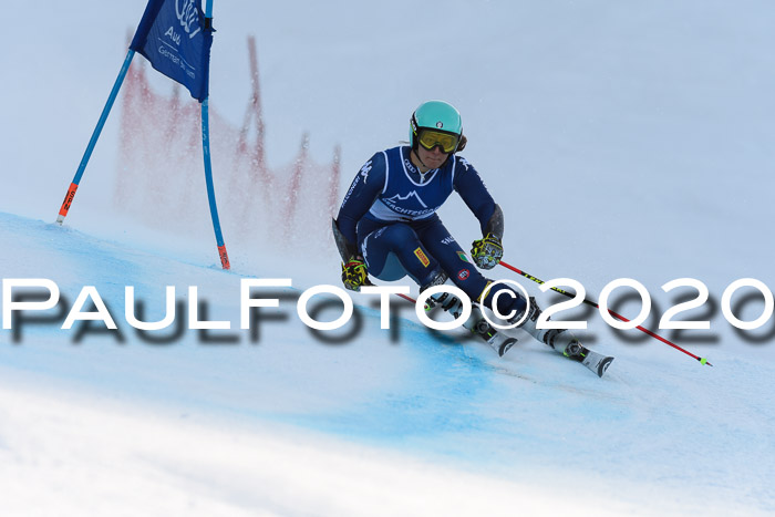 FIS + NJC Riesenslalom Damen + Herren 01.02.2020