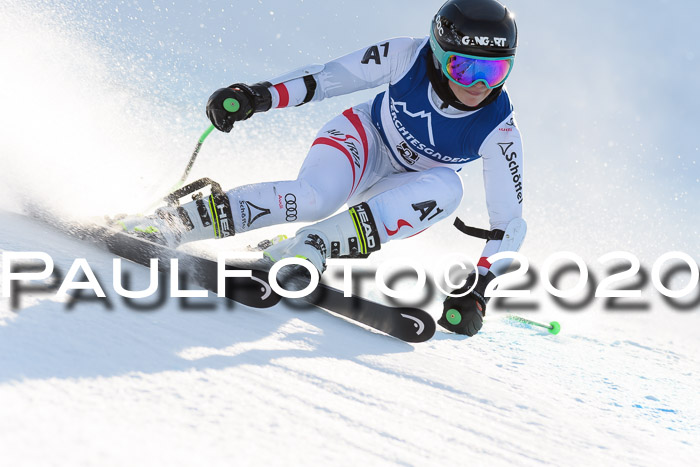 FIS + NJC Riesenslalom Damen + Herren 01.02.2020