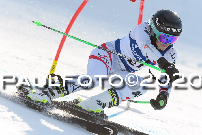 FIS + NJC Riesenslalom Damen + Herren 01.02.2020