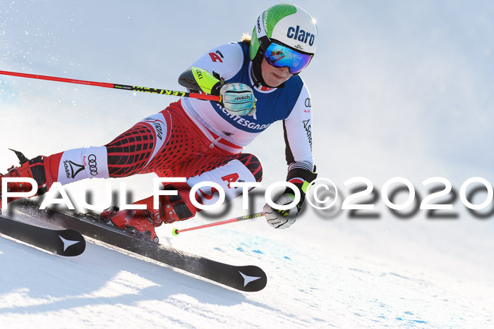 FIS + NJC Riesenslalom Damen + Herren 01.02.2020